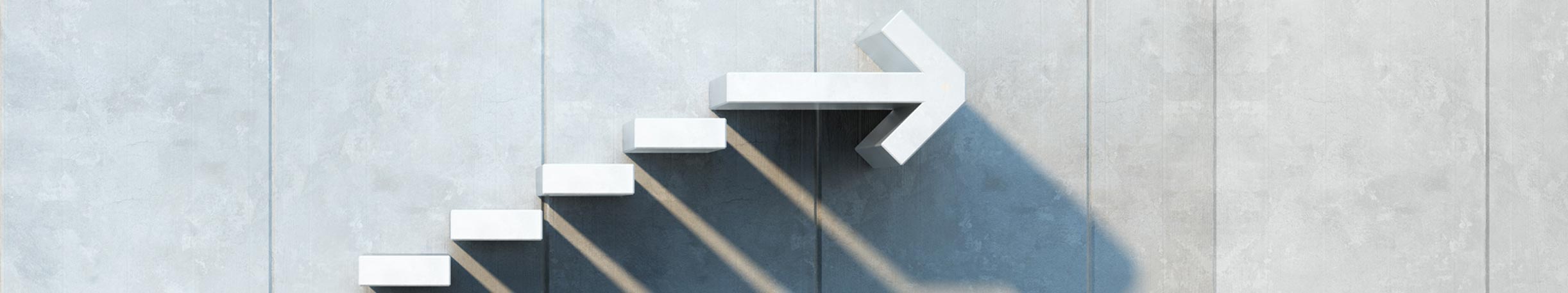 Fortführungsprognose